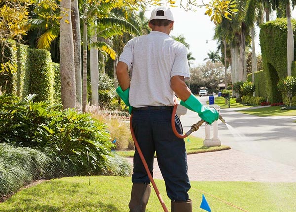 About Fair Bluff NC Pest Control